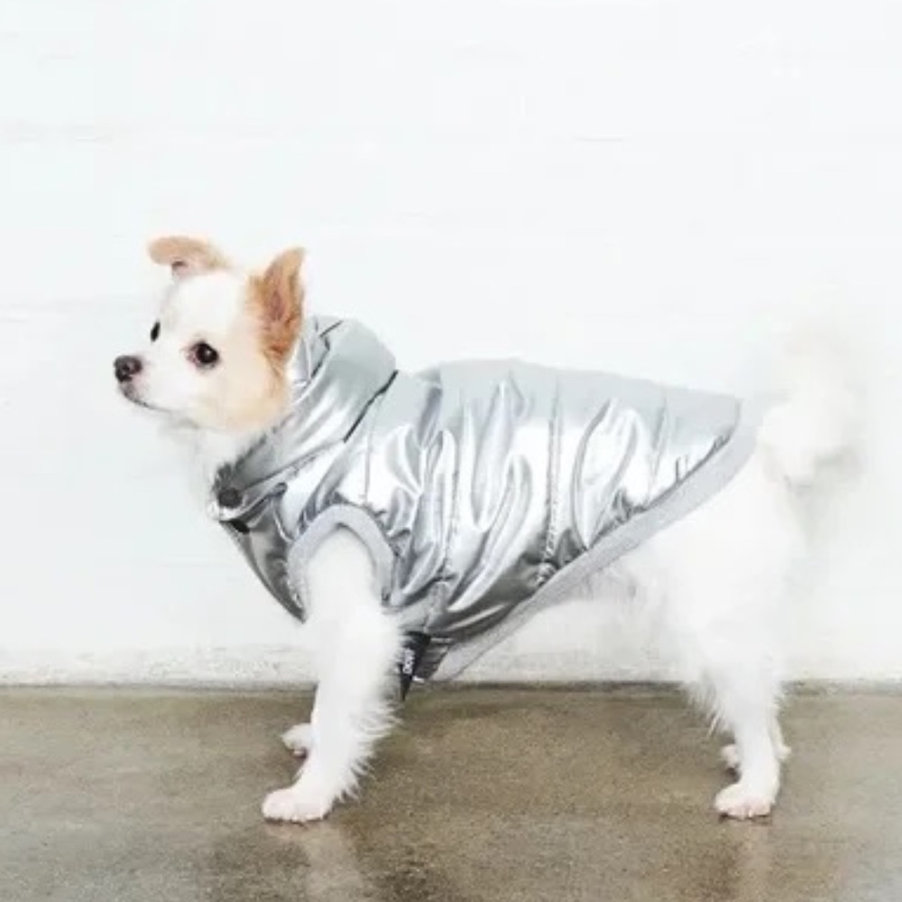 DKNY Metallic Silver Luxury Dog Puffer Jacket/Coat